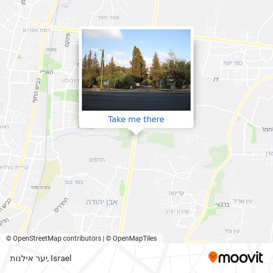 יער אילנות map