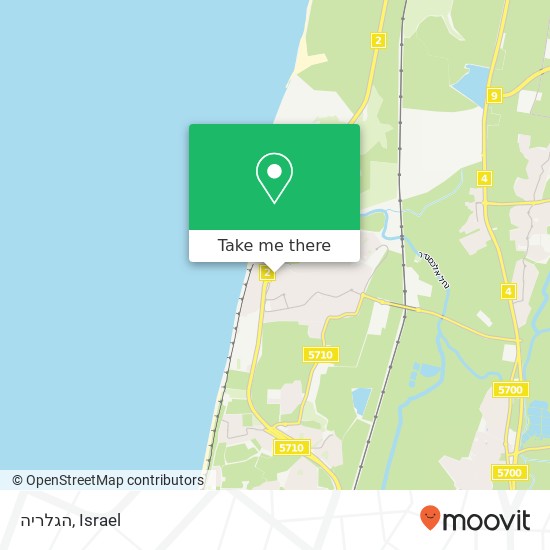 הגלריה map