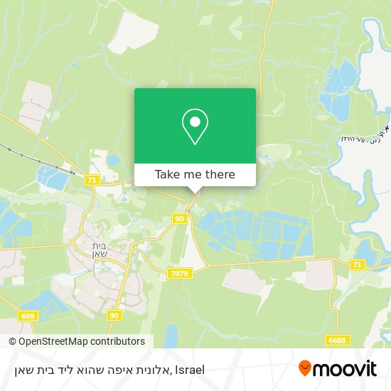 אלונית איפה שהוא ליד בית שאן map