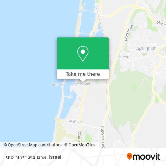 Карта ארם צייג דיקור סיני