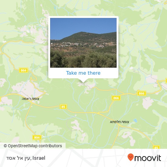 עין אל אסד map