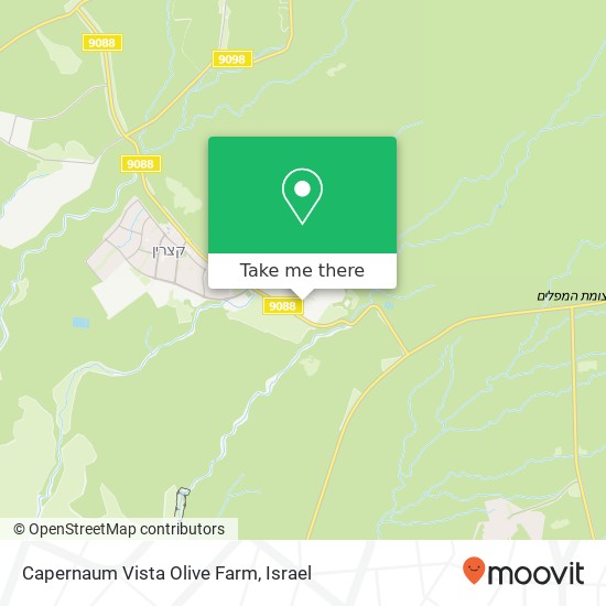 Capernaum Vista Olive Farm map