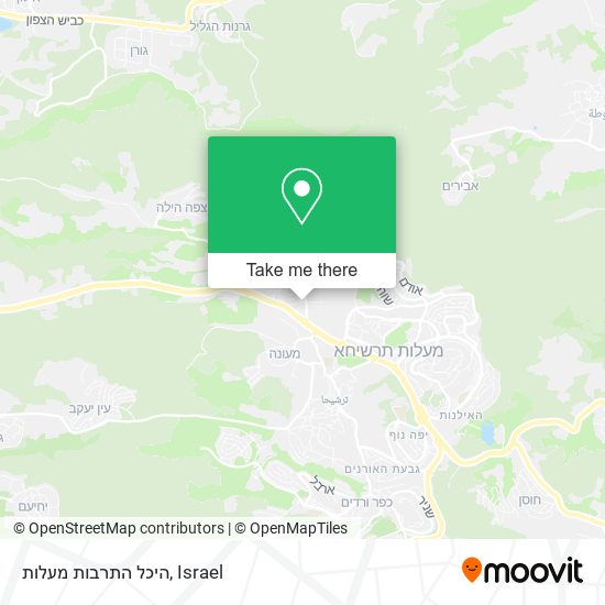 היכל התרבות מעלות map