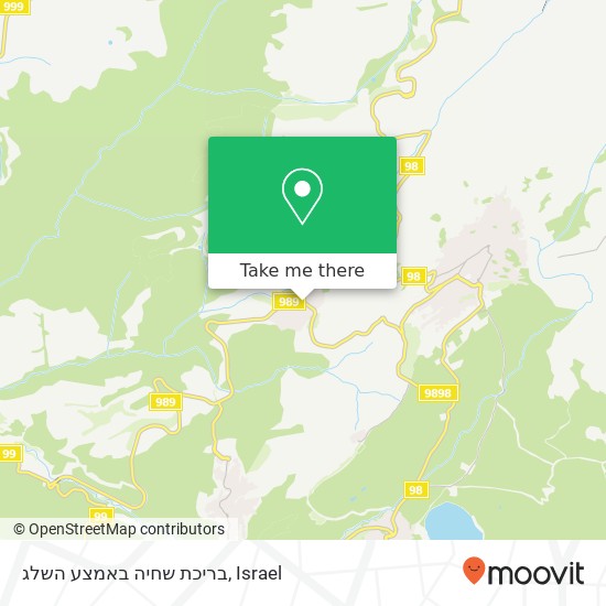 בריכת שחיה באמצע השלג map