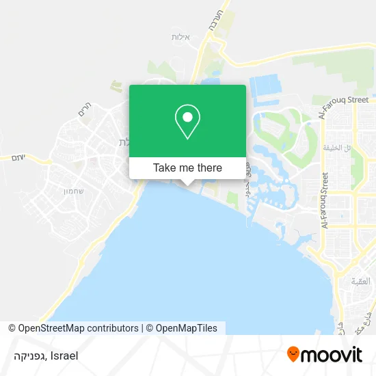Карта גפניקה