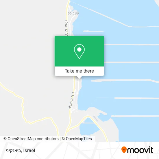 Карта ביאנקיני