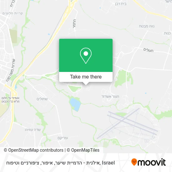 Карта אילנית - הדמיית שיער, איפור, ציפורניים וטיפוח