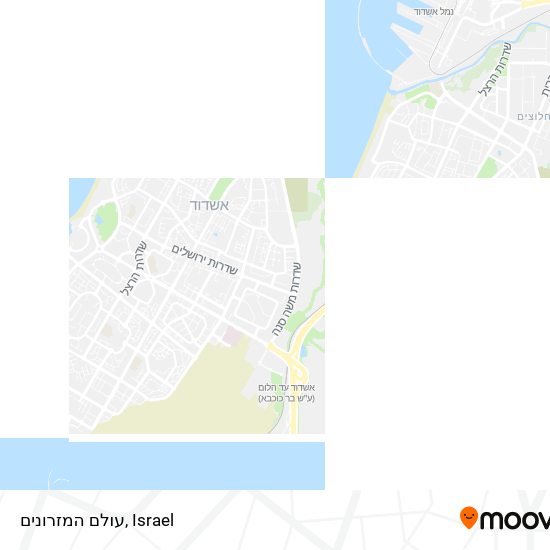 עולם המזרונים map