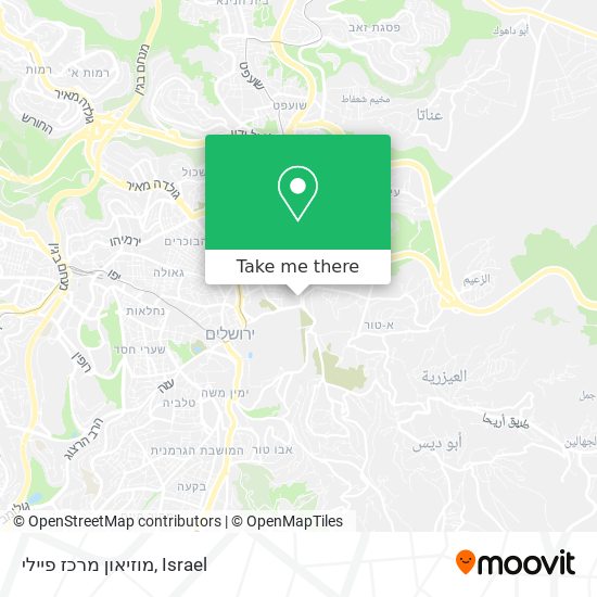 מוזיאון מרכז פיילי map