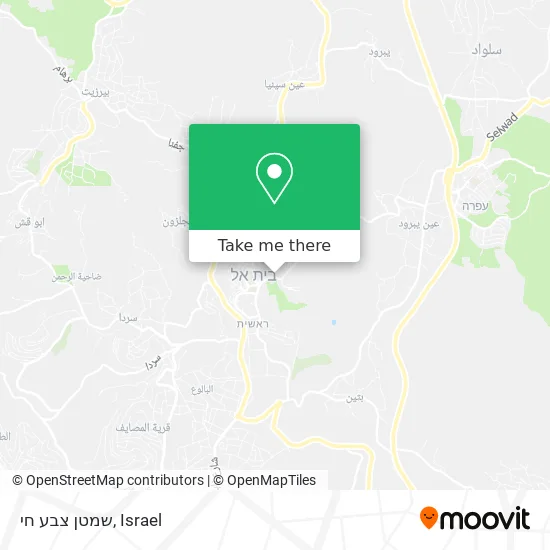 Карта שמטן צבע חי