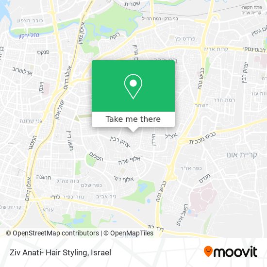 Ziv Anati- Hair Styling map