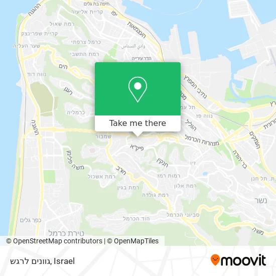 Карта גוונים לרגש