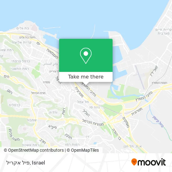 Карта פיל אקריל