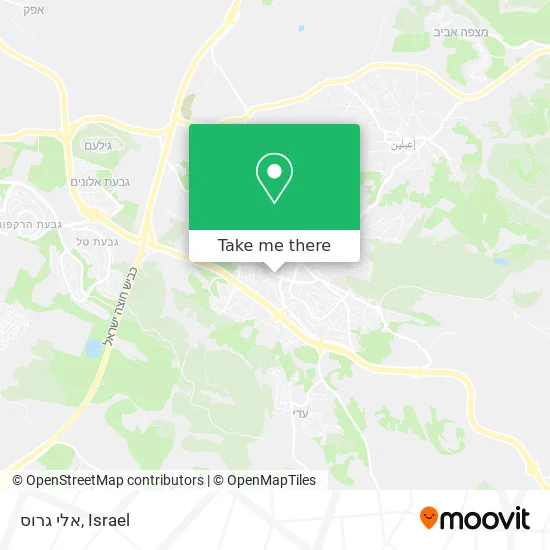 אלי גרוס map