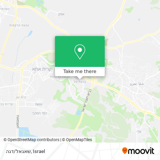 שאגאל/דגה map