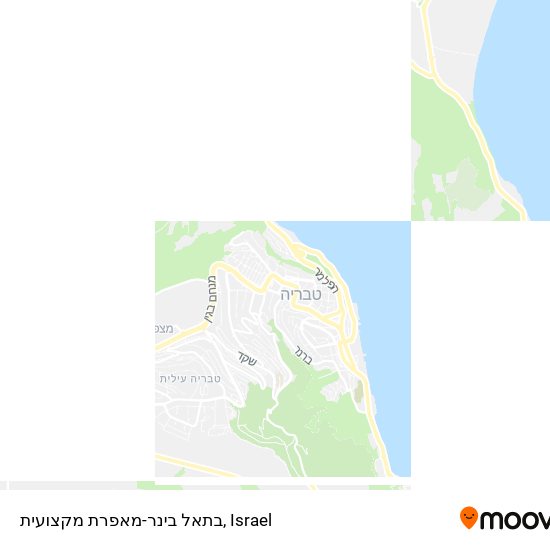 בתאל בינר-מאפרת מקצועית map