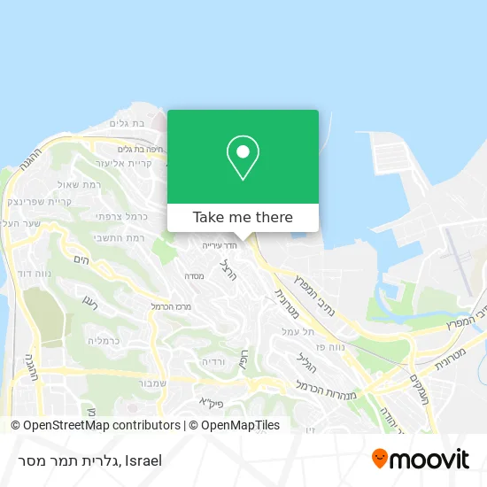 Карта גלרית תמר מסר