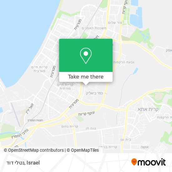 נטלי דוד map