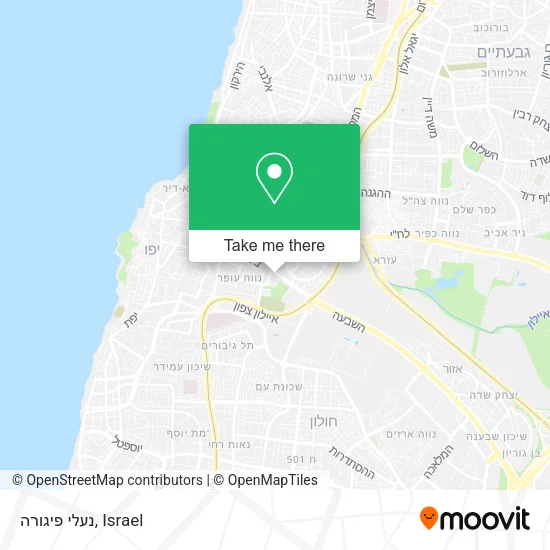 Карта נעלי פיגורה