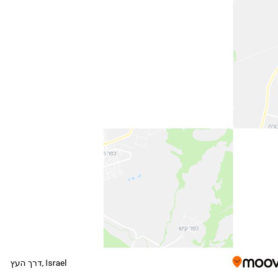 דרך העץ map