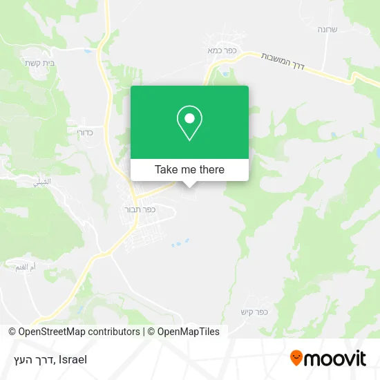 Карта דרך העץ