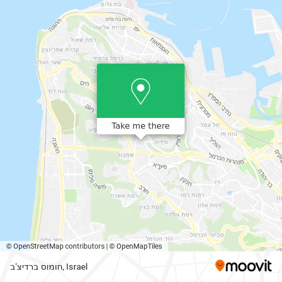 Карта חומוס ברדיצ'ב