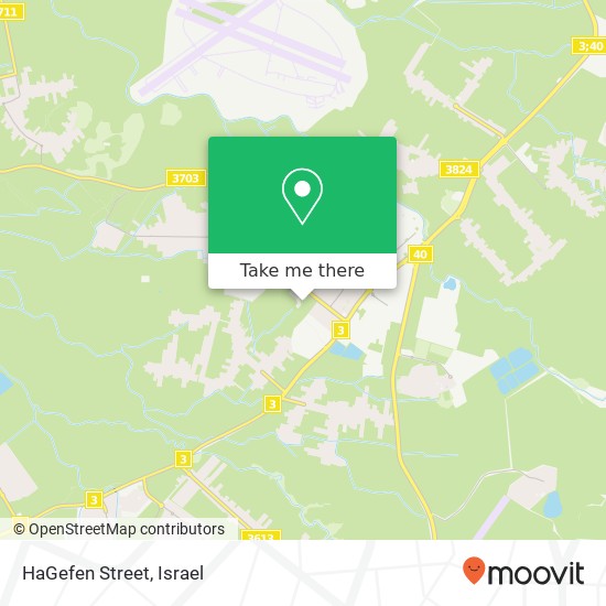 HaGefen Street map