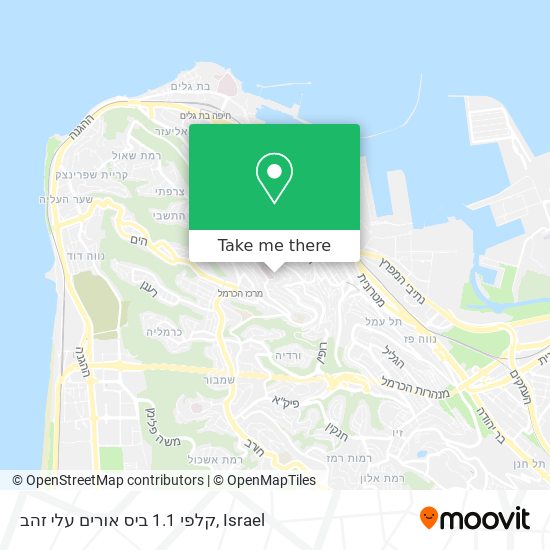 קלפי 1.1 ביס אורים עלי זהב map