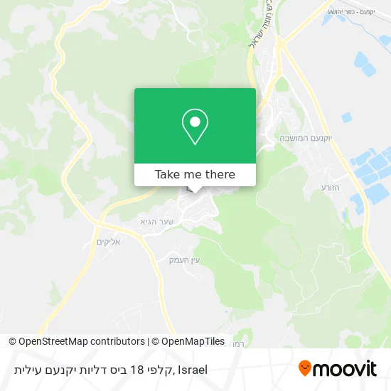 Карта קלפי 18 ביס דליות יקנעם עילית