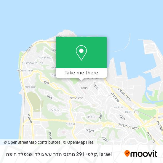 קלפי 291 מתנס הדר עש גולד ושנפלד חיפה map