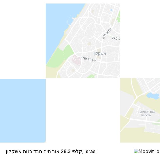 Карта קלפי 28.3 אור חיה חבד בנות אשקלון