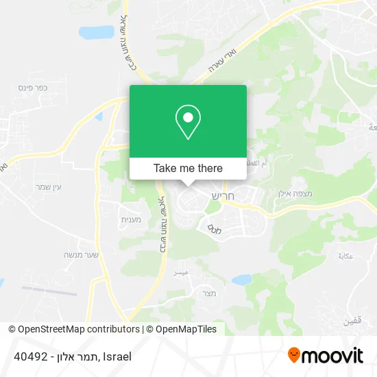 Карта 40492 - תמר אלון