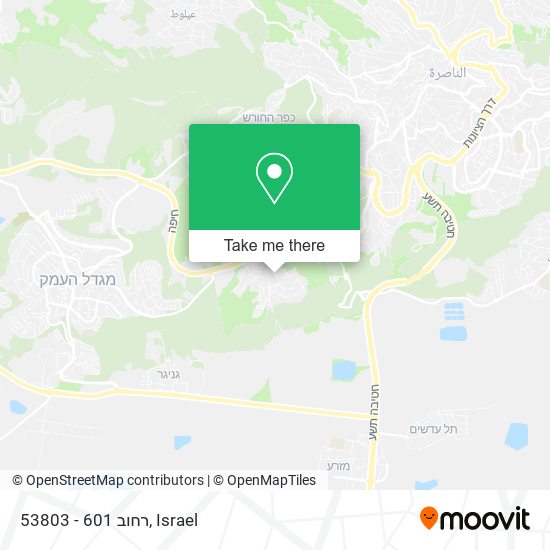 53803 - רחוב 601 map