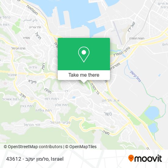 43612 - סלומון יעקב map