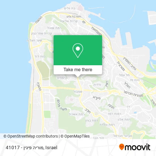 41017 - מוריה פיגין map