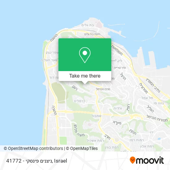 41772 - ניצנים פינסקי map