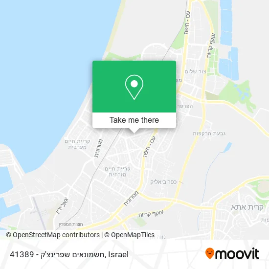 Карта 41389 - חשמונאים שפרינצ'ק