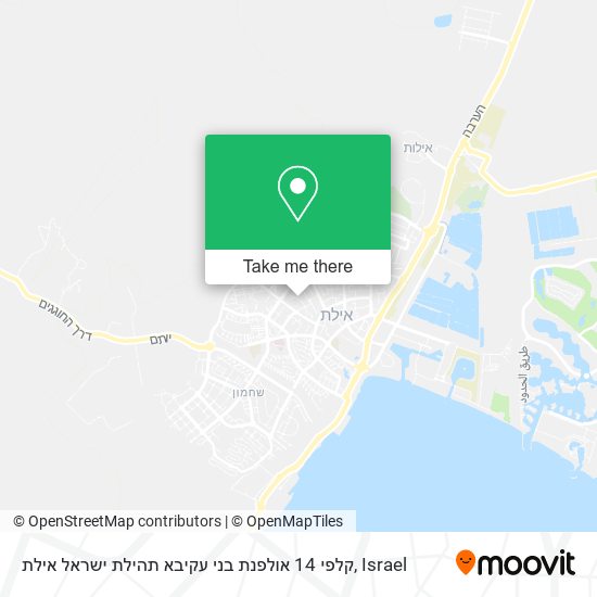 Карта קלפי 14 אולפנת בני עקיבא תהילת ישראל אילת