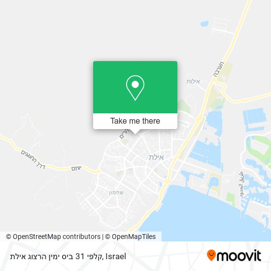 Карта קלפי 31 ביס ימין הרצוג אילת