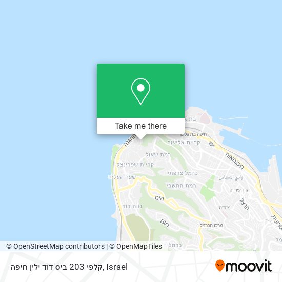 קלפי 203 ביס דוד ילין חיפה map