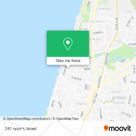 Карта דיזנגוף 241