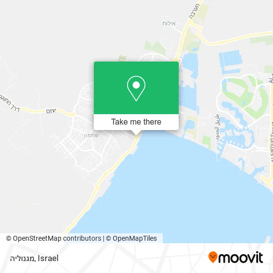 Карта מגנוליה