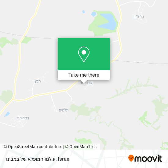 עולמו המופלא של במבינו map