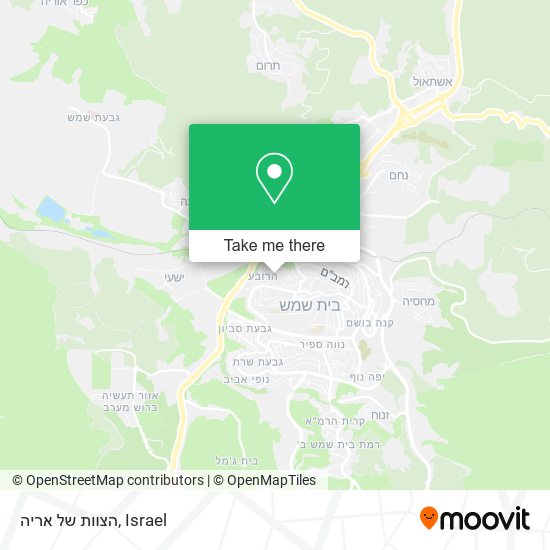 הצוות של אריה map