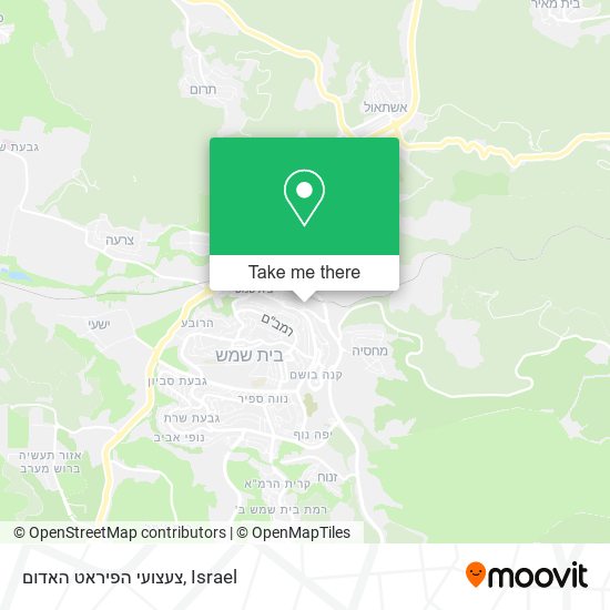 צעצועי הפיראט האדום map