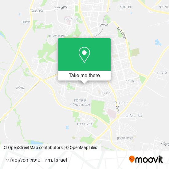 חיה - טיפול רפלקסולוגי map