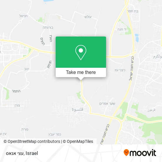 Карта עצי אנאס