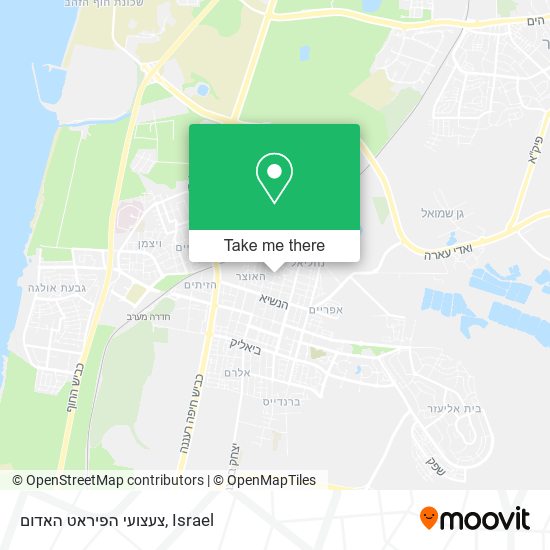 צעצועי הפיראט האדום map