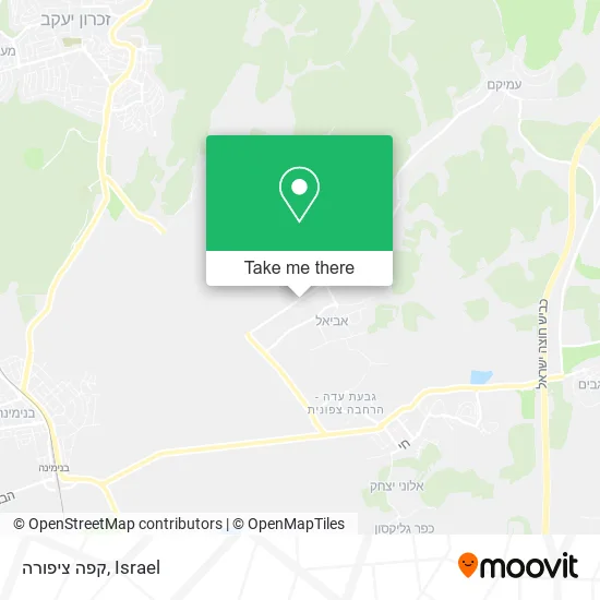 Карта קפה ציפורה