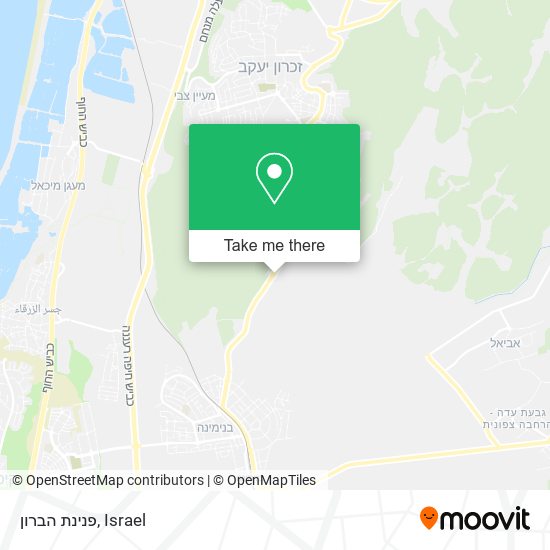 פנינת הברון map